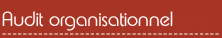 audit organisationnel